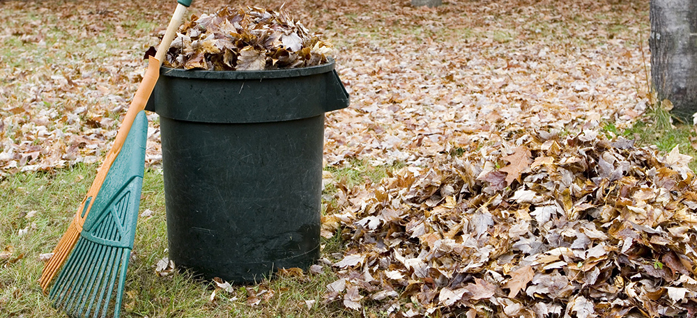 Yard Waste & Leaf Collection